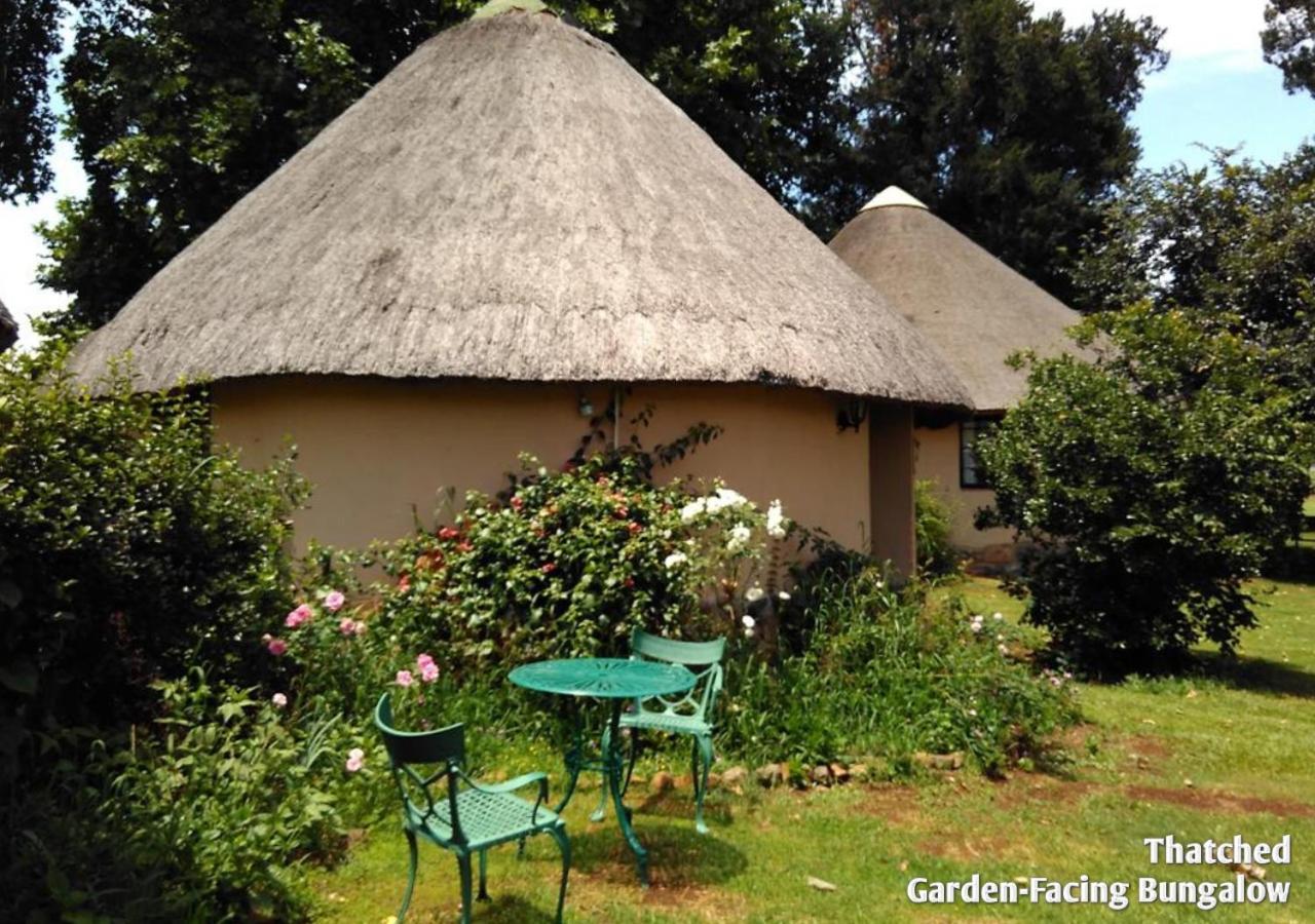 Ardmore Guest Farm Champagne Valley Екстериор снимка