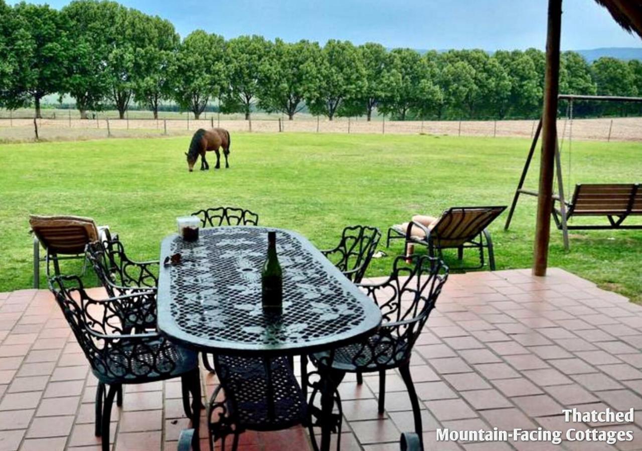 Ardmore Guest Farm Champagne Valley Екстериор снимка