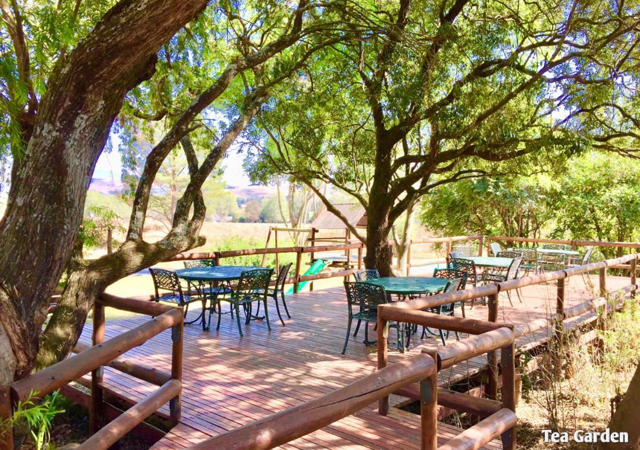 Ardmore Guest Farm Champagne Valley Екстериор снимка