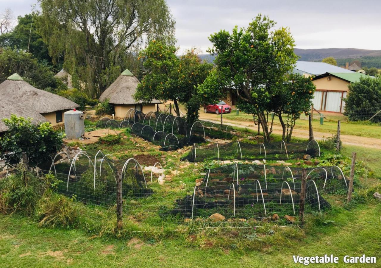 Ardmore Guest Farm Champagne Valley Екстериор снимка
